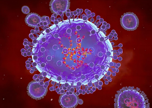 Latest company news about افزایش 36 درصدی موارد HMPV در سال 2023: متاپنوموویروس انسانی در حال افزایش