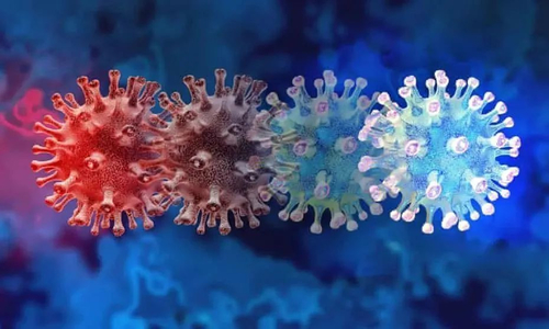 آخرین اخبار شرکت در مورد یادداشتی در مورد شناسایی سویه های نوع جدید کروناویروس توسط ALLTEST BIOTECH