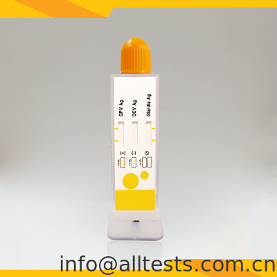 Good price کیت آزمایش سریع تشخیصی برای CPV CCV Giardia Lamblia در مدفوع آنلاین