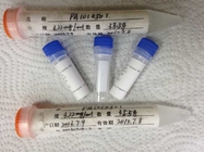 Goat Anti rabbit IgG Polyclonal Antibodies For Vitro Diagnostics