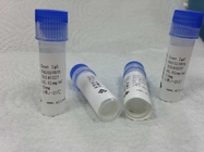 Goat anti - malaria HRPII Polyclonal Antibody Infectious Disease for Pharmaceutical