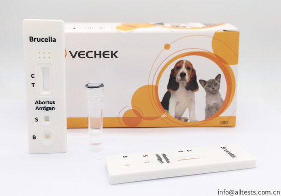 Good price کیت تست سریع Rapid Brucella Ag با کیفیت و مقدماتی آنلاین