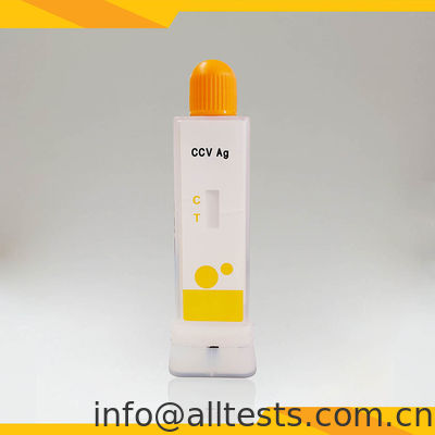 قیمت خوب کیت تست سریع آنتی‌ژن CCV ۱۰ دقیقه‌ای برای تشخیص کروناویروس سگ در مدفوع/استفراغ با استفاده از ایمونوتوکروماتوگرافی آنلاین