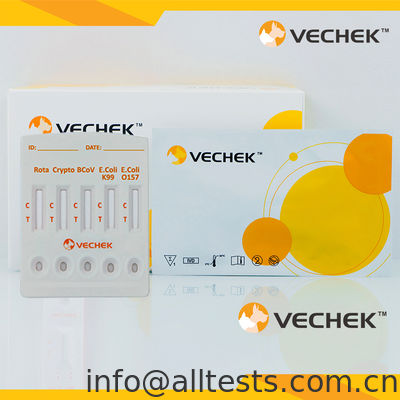قیمت خوب کاست تست سریع ترکیبی آنتی ژن روتاویروس+کریپتوسپوریدیا+کروناویروس+E. Coli K99 +E. Coli O157 (مدفوع) آنلاین