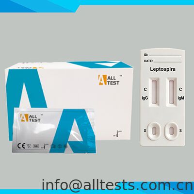 قیمت خوب تست سریع ترکیبی Leptospira IgG/IgM با زمان خواندن 15 دقیقه ای برای نمونه خون کامل / سرم / پلاسما گواهی CE آنلاین