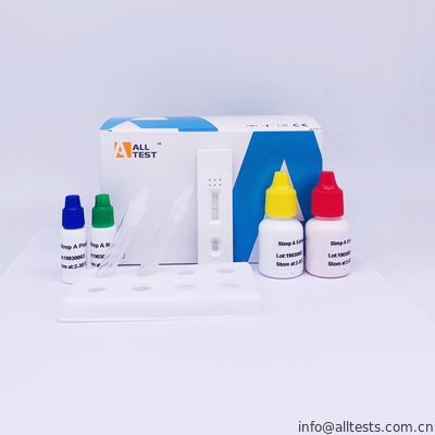 Good price نمونه های سواب گلو Strep A آنتی ژن (خط کنترل به رنگ قرمز) کیت تست سریع ، تست Stream Swab Throat آنلاین